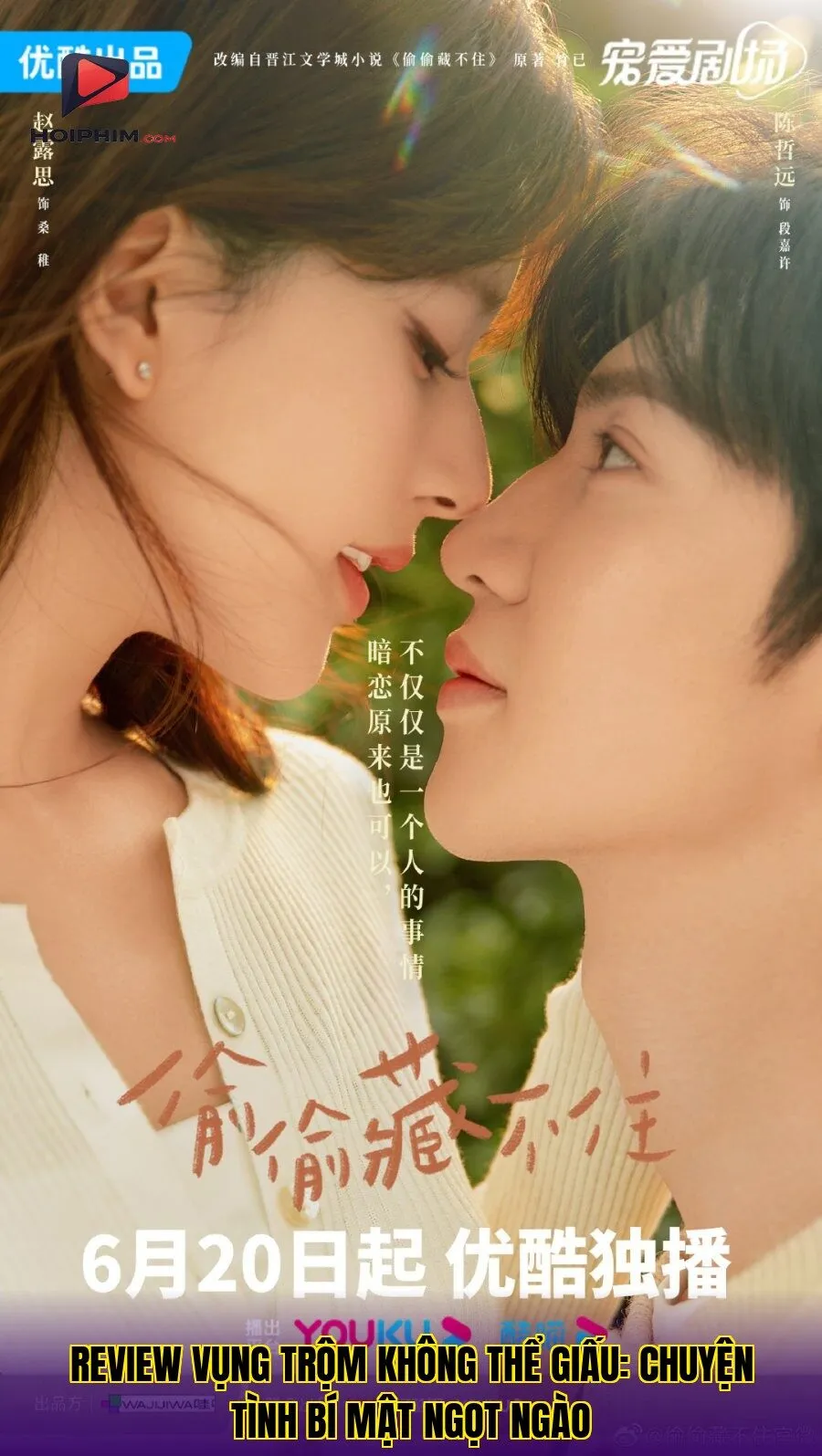 Review Vụng Trộm Không Thể Giấu: Chuyện Tình Bí Mật Ngọt Ngào