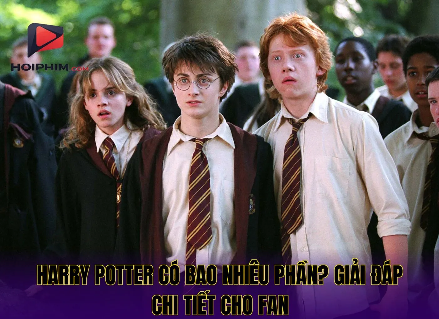 Harry Potter Có Bao Nhiêu Phần? Bao Nhiêu Tập Chi Tiết