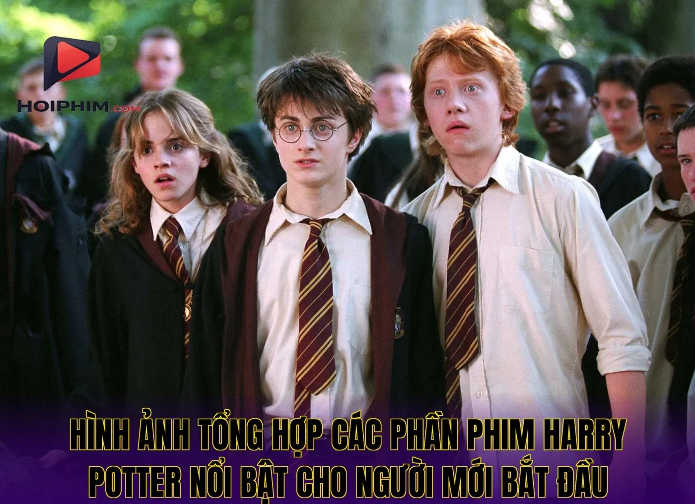 Hình ảnh tổng hợp các phần phim Harry Potter nổi bật cho người mới bắt đầu