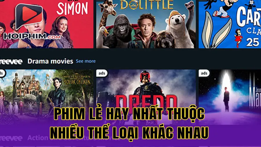 Tại Sao Nên Khám Phá Phim Lẻ Hay Nhất Thuộc Nhiều Thể Loại Khác Nhau?